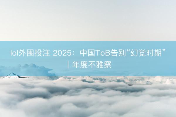 lol外围投注 2025：中国ToB告别“幻觉时期”｜年度不雅察