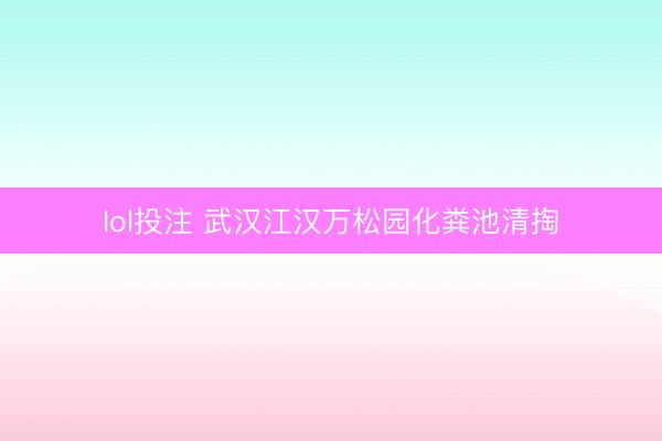 lol投注 武汉江汉万松园化粪池清掏