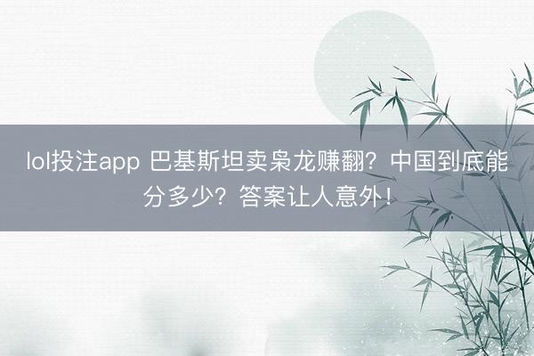 lol投注app 巴基斯坦卖枭龙赚翻？中国到底能分多少？答案让人意外！