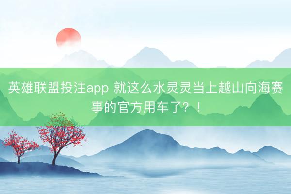 英雄联盟投注app 就这么水灵灵当上越山向海赛事的官方用车了？！