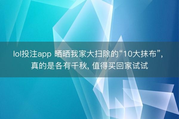 lol投注app 晒晒我家大扫除的“10大抹布”, 真的是各有千秋, 值得买回家试试