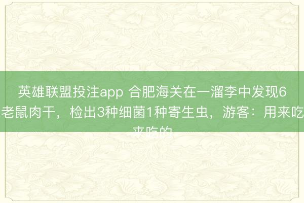 英雄联盟投注app 合肥海关在一溜李中发现6只老鼠肉干，检出3种细菌1种寄生虫，游客：用来吃的