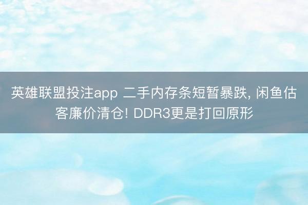 英雄联盟投注app 二手内存条短暂暴跌, 闲鱼估客廉价清仓! DDR3更是打回原形