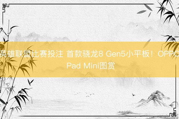 英雄联盟比赛投注 首款骁龙8 Gen5小平板！OPPO Pad Mini图赏