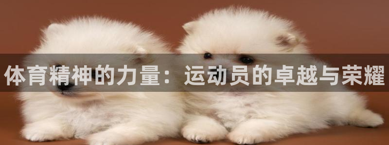 MK体育官方正版app集团E.ON：体育精神的力量：
