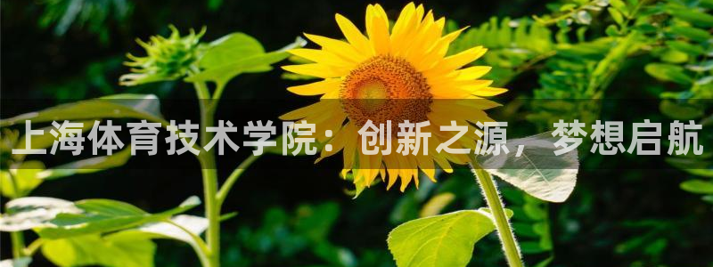 MK体育官网下载招商：上海体育技术学院：创新之源，梦想启航