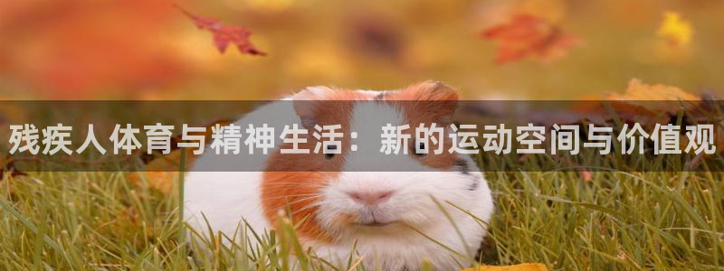 MK体育官网下载招商电话地址查询：残疾人体育与精神生活：新的