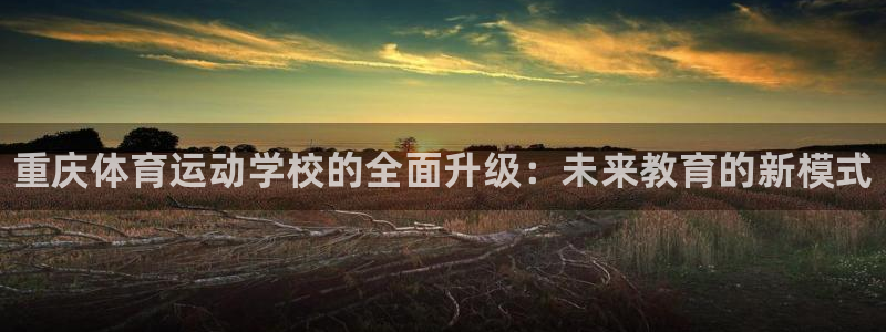 MK体育官方正版app娱乐网站