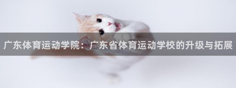 MK体育官网下载平台是正规平台吗：广东体育运动学院：广东省体