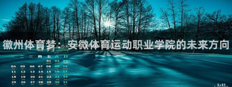 MK体育官网下载招商电话是多少啊：徽州体育梦：安微体育运动职
