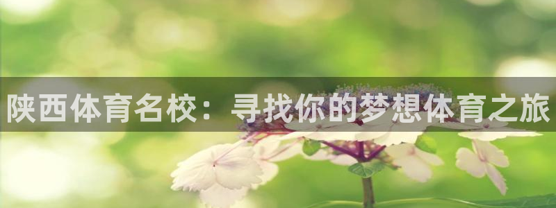 MK体育官网下载平台注册：陕西体育名校：寻找你的梦想体育之旅