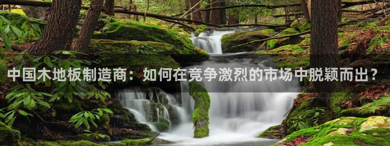 MK体育官网下载平台注册要钱吗是真的吗：中国木地板制