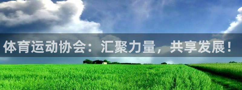 MK体育官网下载平台假的吗是真的吗：体育运动协会：汇