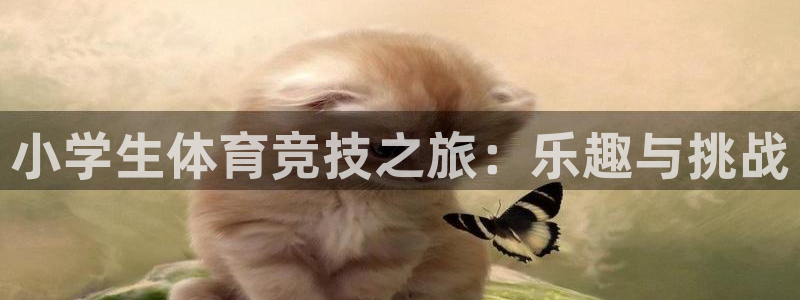 MK体育官网下载平台假的吗是真的吗吗：小学生体育竞技