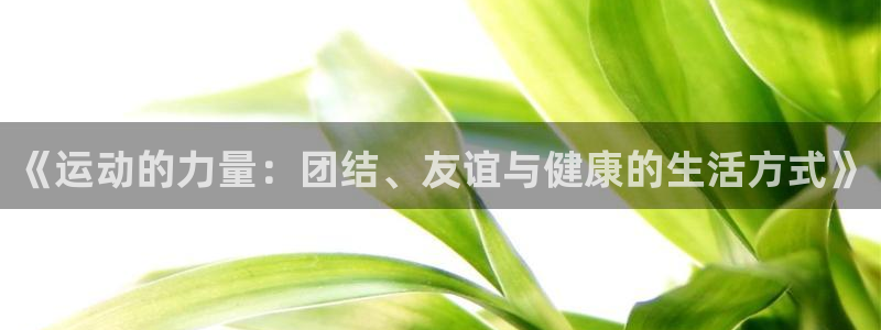 MK体育官网下载平台注册流程图：《运动的力量：团结、