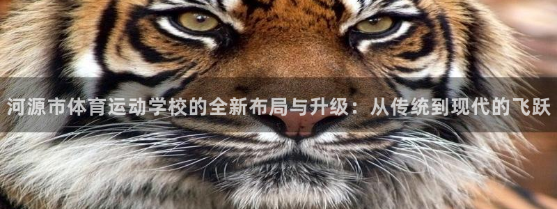 MK体育官网下载平台APP：河源市体育运动学校的全新