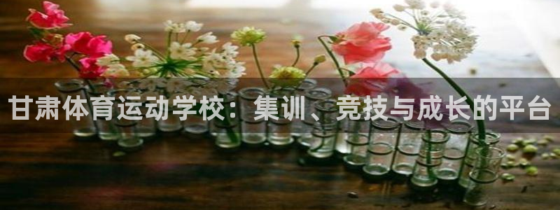 注册MK体育官方正版app：甘肃体育运动学校：集训、
